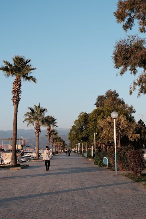 Beginner Guide to Mindful Walking: Step Into Peace and Presence